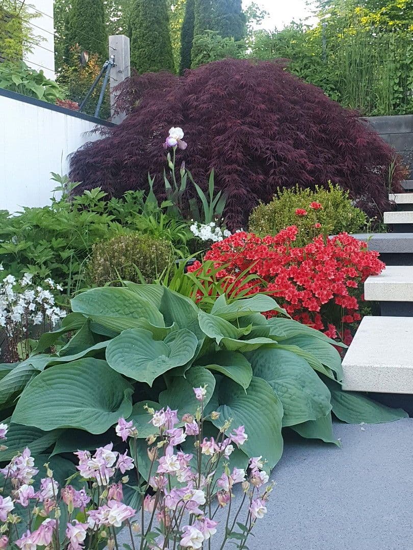 Prodej domu 249 m², pozemek 1.100 m², Taufkirchen, Bavorsko Prodej domu 249 m², pozemek 1.100 m², Taufkirchen, Bavorsko