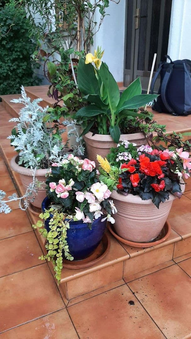 Prodej domu 170 m², pozemek 970 m², Frankfurt (Oder), Braniborsko Prodej domu 170 m², pozemek 970 m², Frankfurt (Oder), Braniborsko