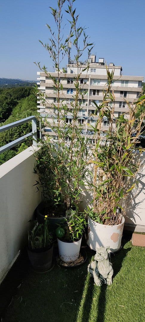 Prodej bytu 3+kk 92 m², Theodor-Heuss-Straße 50, Wuppertal, Severní Porýní-Vestfálsko Prodej bytu 3+kk 92 m², Theodor-Heuss-Straße 50, Wuppertal, Severní Porýní-Vestfálsko