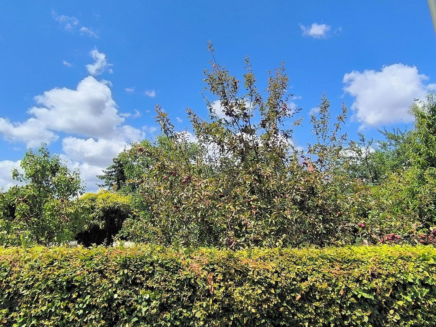 Prodej domu 93 m², pozemek 579 m², Kleinblittersdorf, Země Sársko Prodej domu 93 m², pozemek 579 m², Kleinblittersdorf, Země Sársko