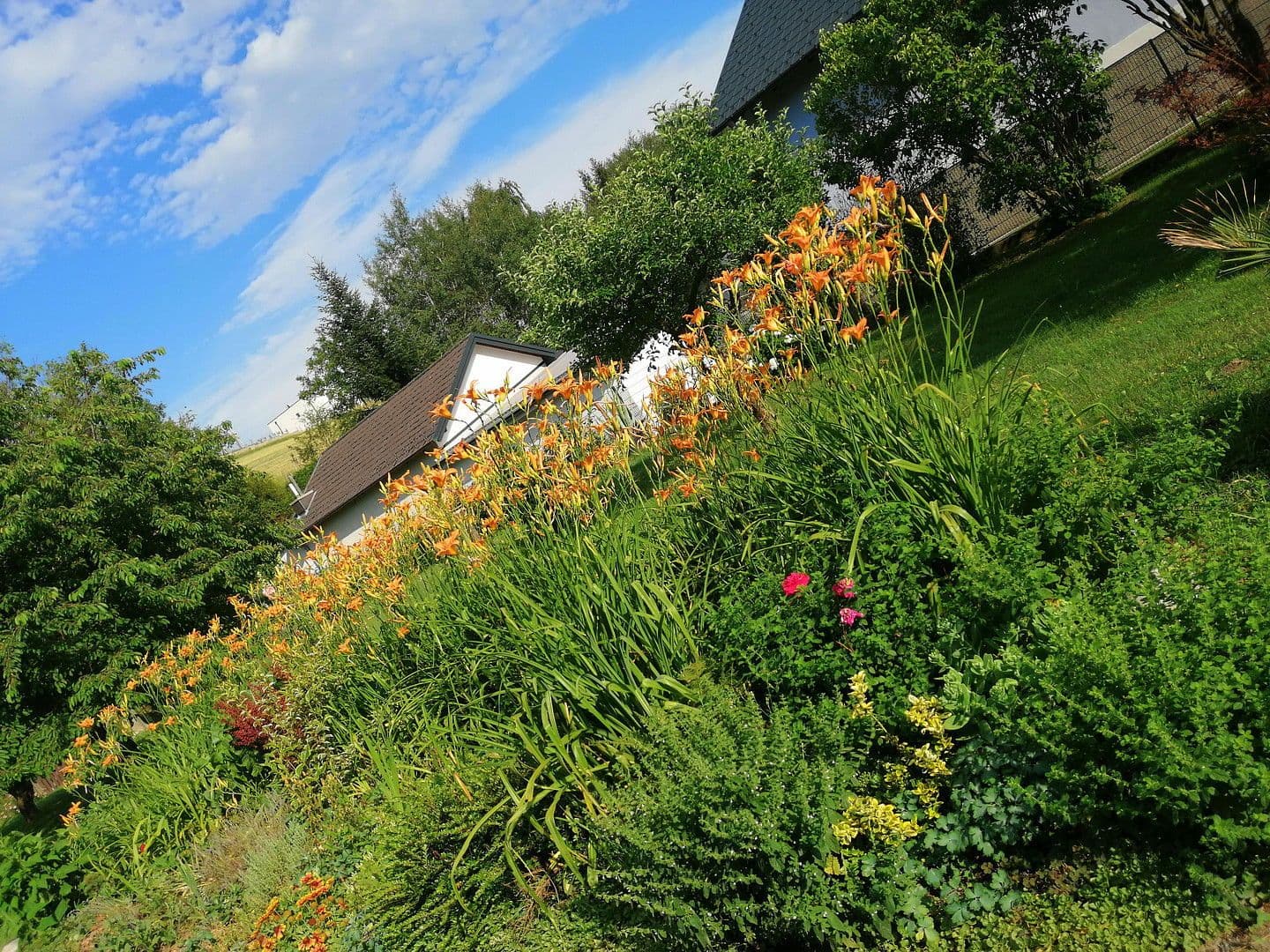 Prodej domu 86 m², pozemek 2.163 m², Sieggraben, Hradsko Prodej domu 86 m², pozemek 2.163 m², Sieggraben, Hradsko