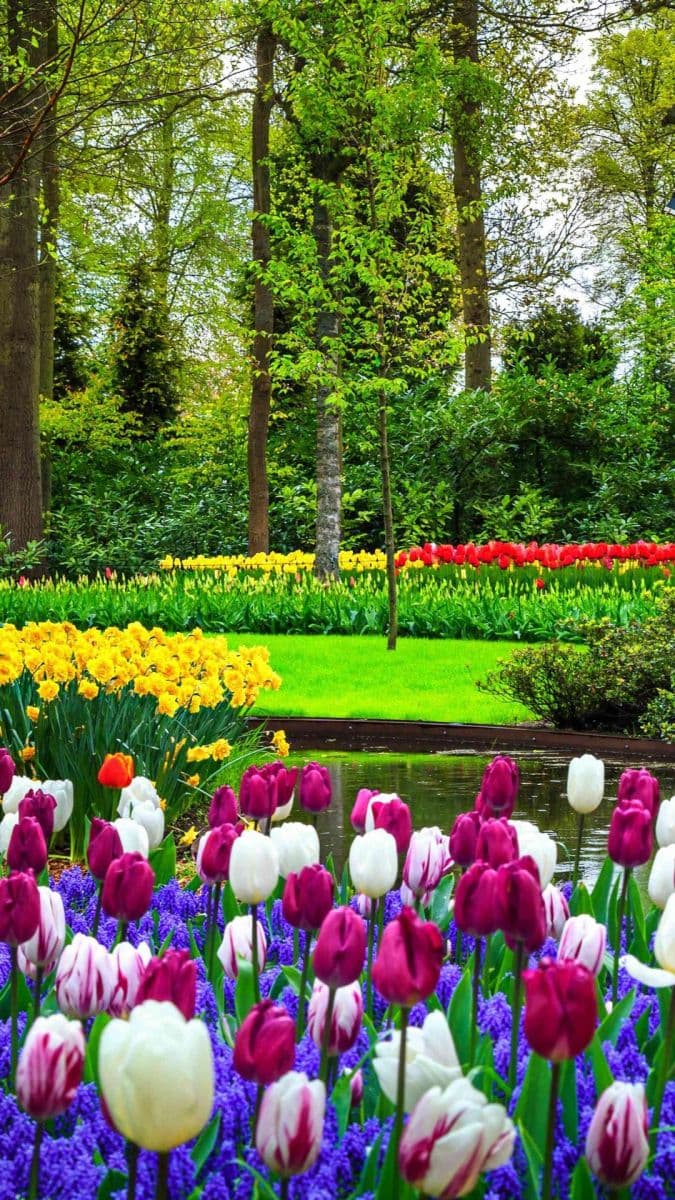 Pronájem domu 85 m², pozemek 1.500 m², Turnov, Liberecký kraj Pronájem domu 85 m², pozemek 1.500 m², Turnov, Liberecký kraj