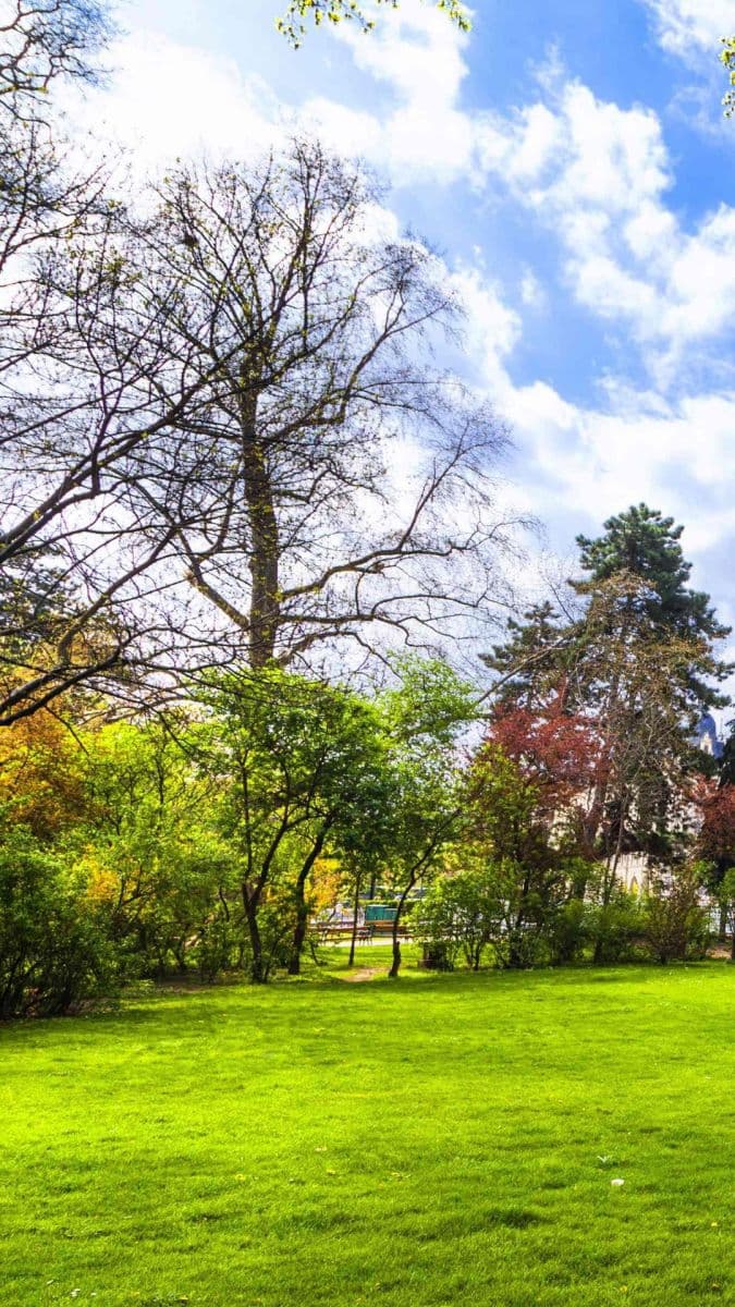 Pronájem domu 85 m², pozemek 1.500 m², Turnov, Liberecký kraj Pronájem domu 85 m², pozemek 1.500 m², Turnov, Liberecký kraj