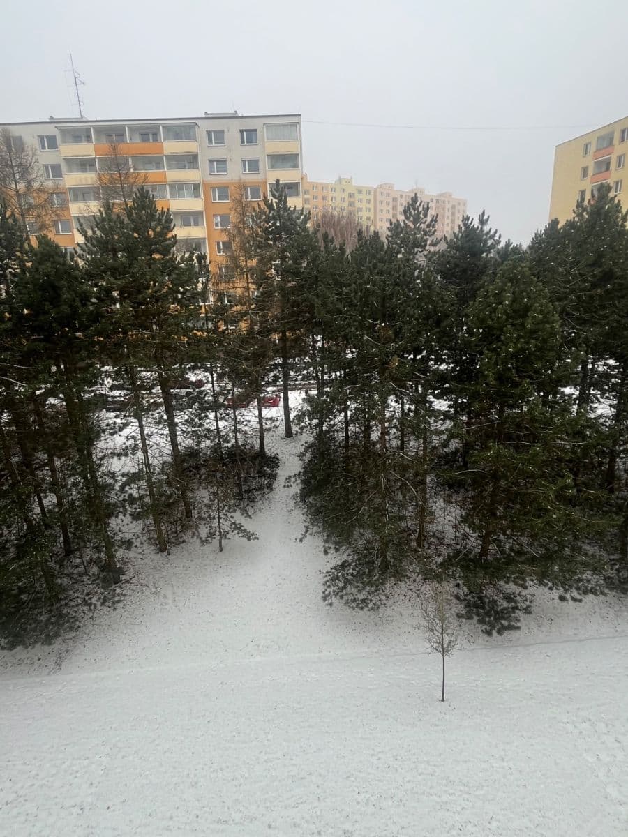 Pronájem bytu 2+1 60 m², Lýskova, Brno, Jihomoravský kraj Pronájem bytu 2+1 60 m², Lýskova, Brno, Jihomoravský kraj