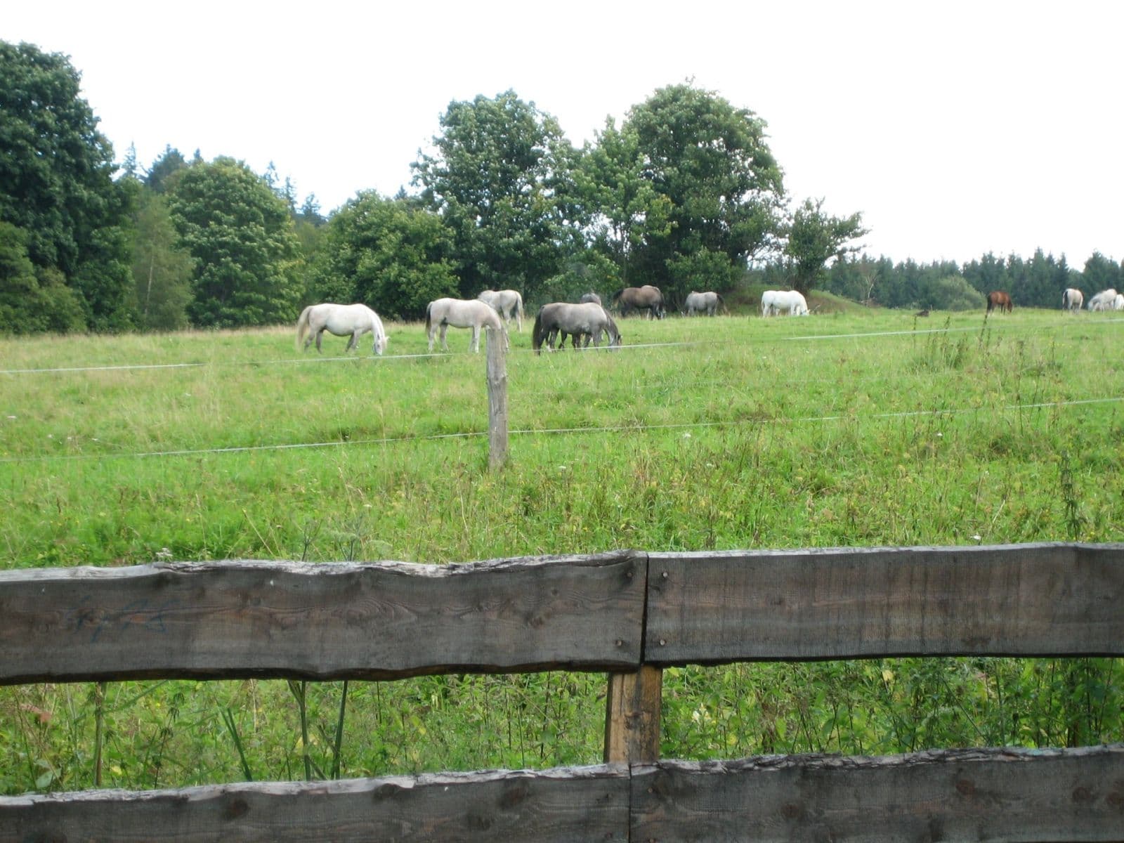 Prodej chaty, chalupy 194 m², pozemek 1.520 m², Pohorská Ves, Jihočeský kraj Prodej chaty, chalupy 194 m², pozemek 1.520 m², Pohorská Ves, Jihočeský kraj