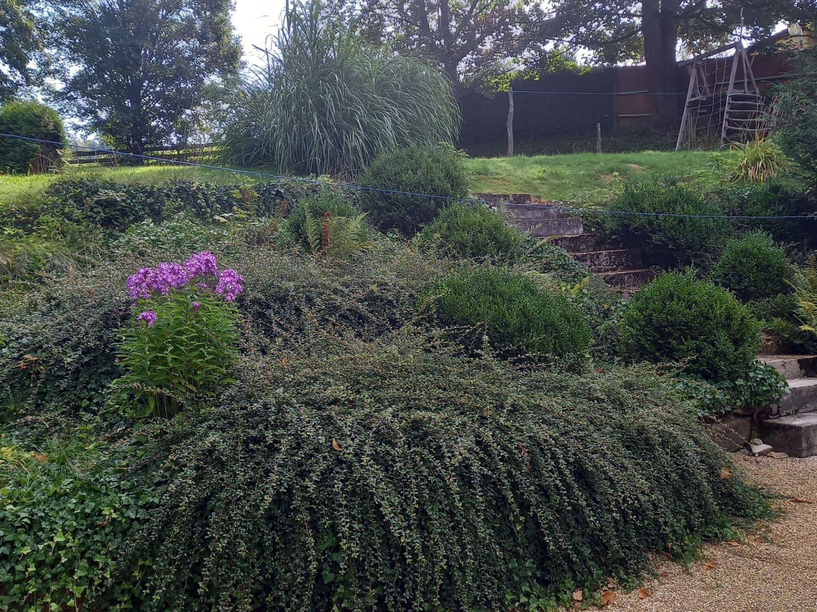 Prodej chaty, chalupy 194 m², pozemek 1.520 m², Pohorská Ves, Jihočeský kraj Prodej chaty, chalupy 194 m², pozemek 1.520 m², Pohorská Ves, Jihočeský kraj