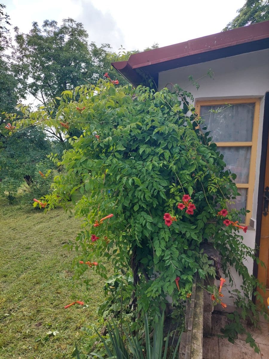 Prodej chaty, chalupy 466 m², pozemek 987 m², Bystřice, Středočeský kraj Prodej chaty, chalupy 466 m², pozemek 987 m², Bystřice, Středočeský kraj