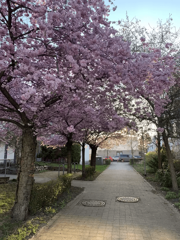 Pronájem bytu 1+1 42 m², Leipzig, Sasko Pronájem bytu 1+1 42 m², Leipzig, Sasko