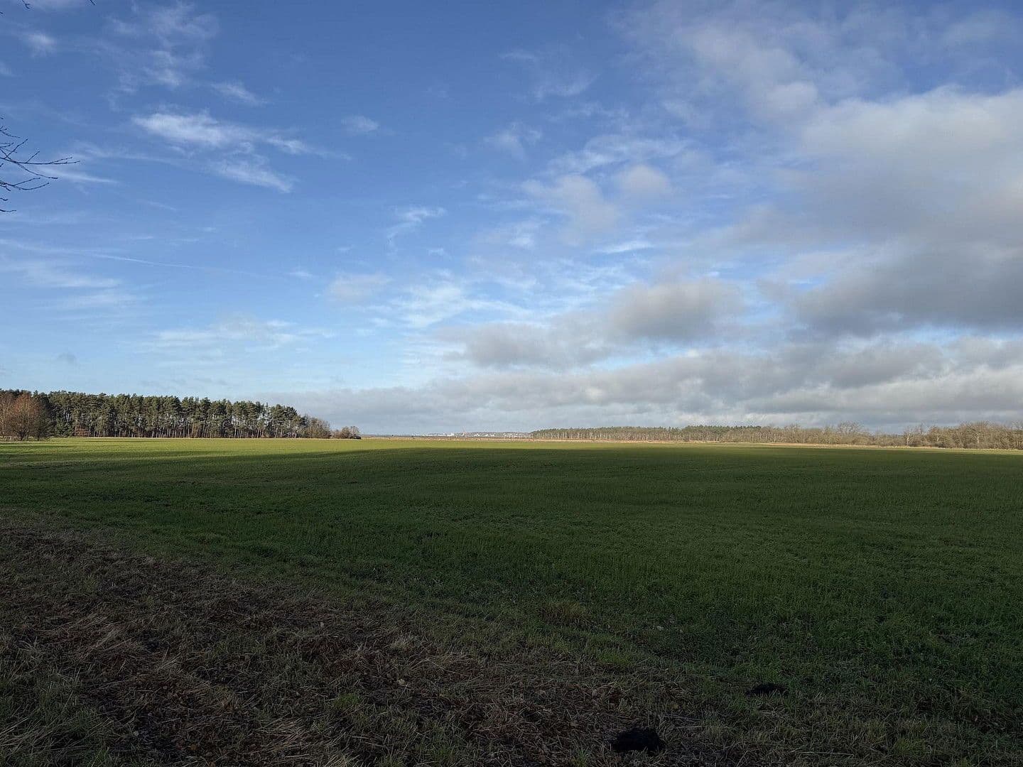 Prodej domu 100 m², pozemek 450 m², Zum Haff 1, Am Salzhaff, Mecklenburg-Vorpommern Prodej domu 100 m², pozemek 450 m², Zum Haff 1, Am Salzhaff, Mecklenburg-Vorpommern