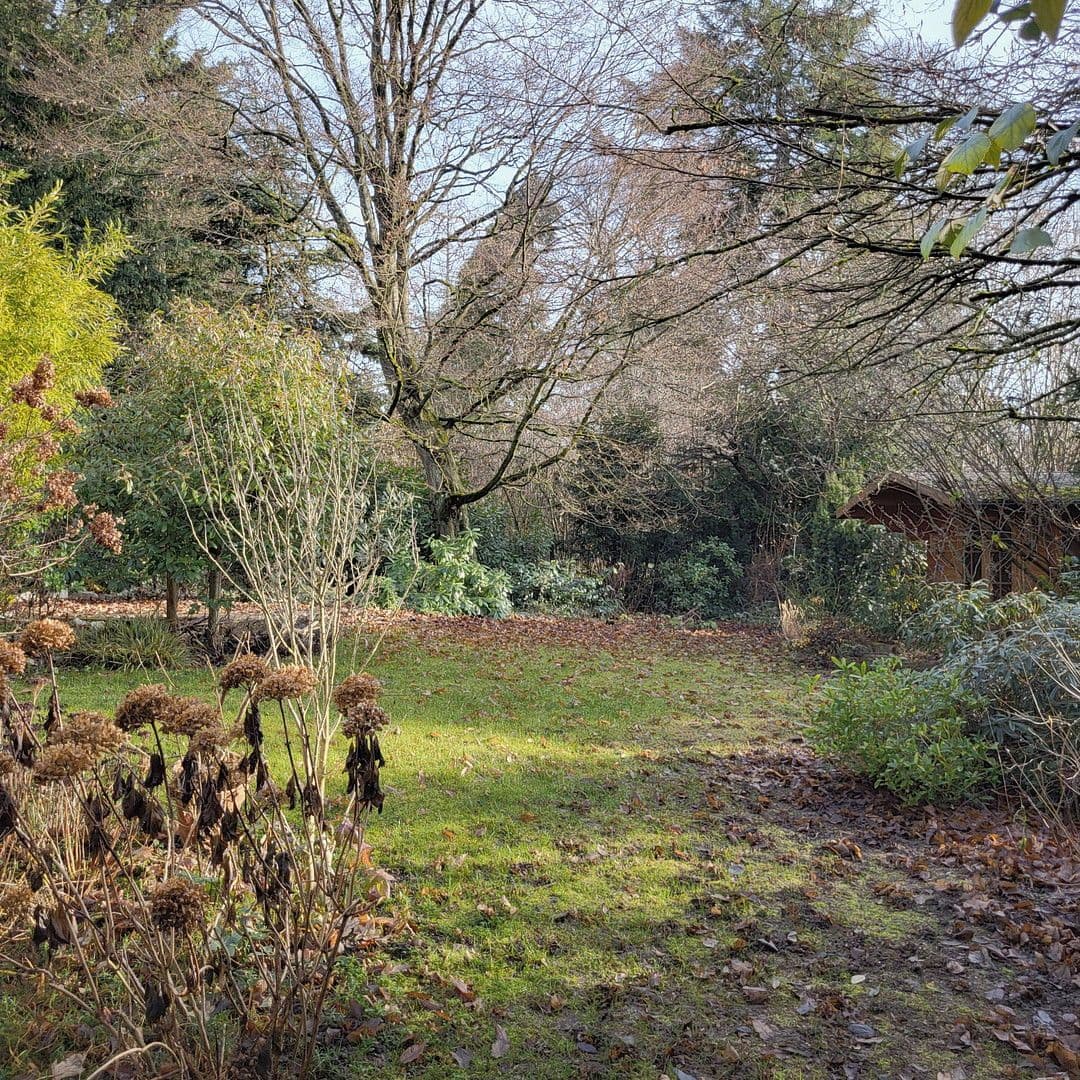 Pronájem bytu 6+1 175 m², Oberursel (Taunus), Hessen Pronájem bytu 6+1 175 m², Oberursel (Taunus), Hessen