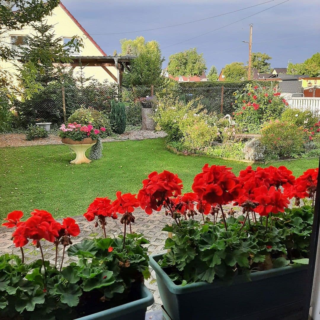 Prodej domu 100 m², pozemek 772 m², Luckenwalde, Braniborsko Prodej domu 100 m², pozemek 772 m², Luckenwalde, Braniborsko