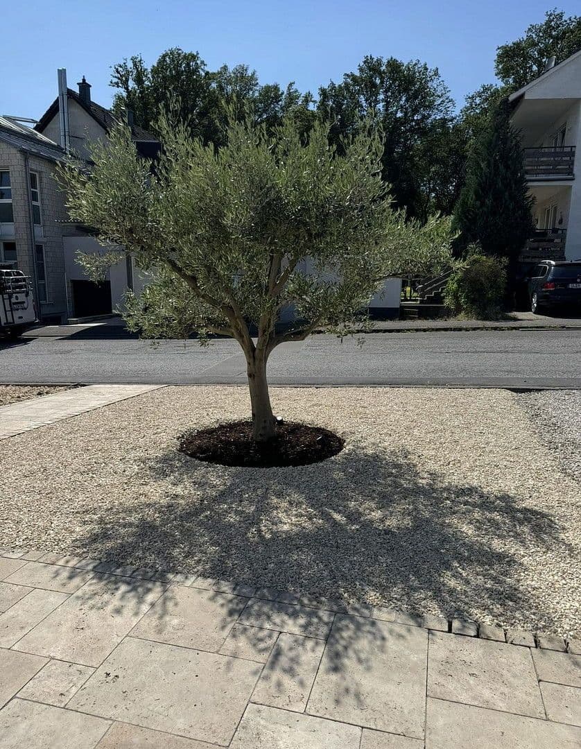 Prodej domu 240 m², pozemek 480 m², Rösrath, Severní Porýní-Vestfálsko Prodej domu 240 m², pozemek 480 m², Rösrath, Severní Porýní-Vestfálsko