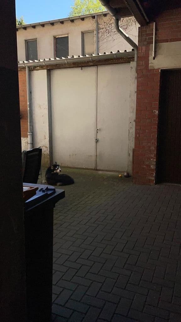 Pronájem nebytového prostoru 340 m², Veilchenstraße 24, Duisburg, Severní Porýní-Vestfálsko Pronájem nebytového prostoru 340 m², Veilchenstraße 24, Duisburg, Severní Porýní-Vestfálsko