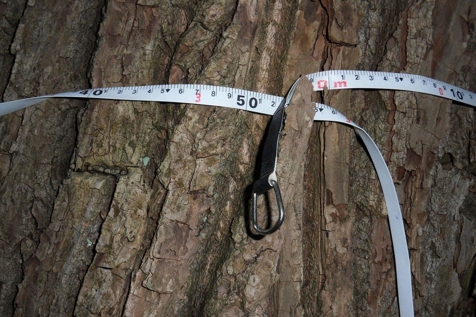 Prodej domu 120 m², pozemek 23.459 m², Tangstedt, Šlesvicko-Holštýnsko Prodej domu 120 m², pozemek 23.459 m², Tangstedt, Šlesvicko-Holštýnsko