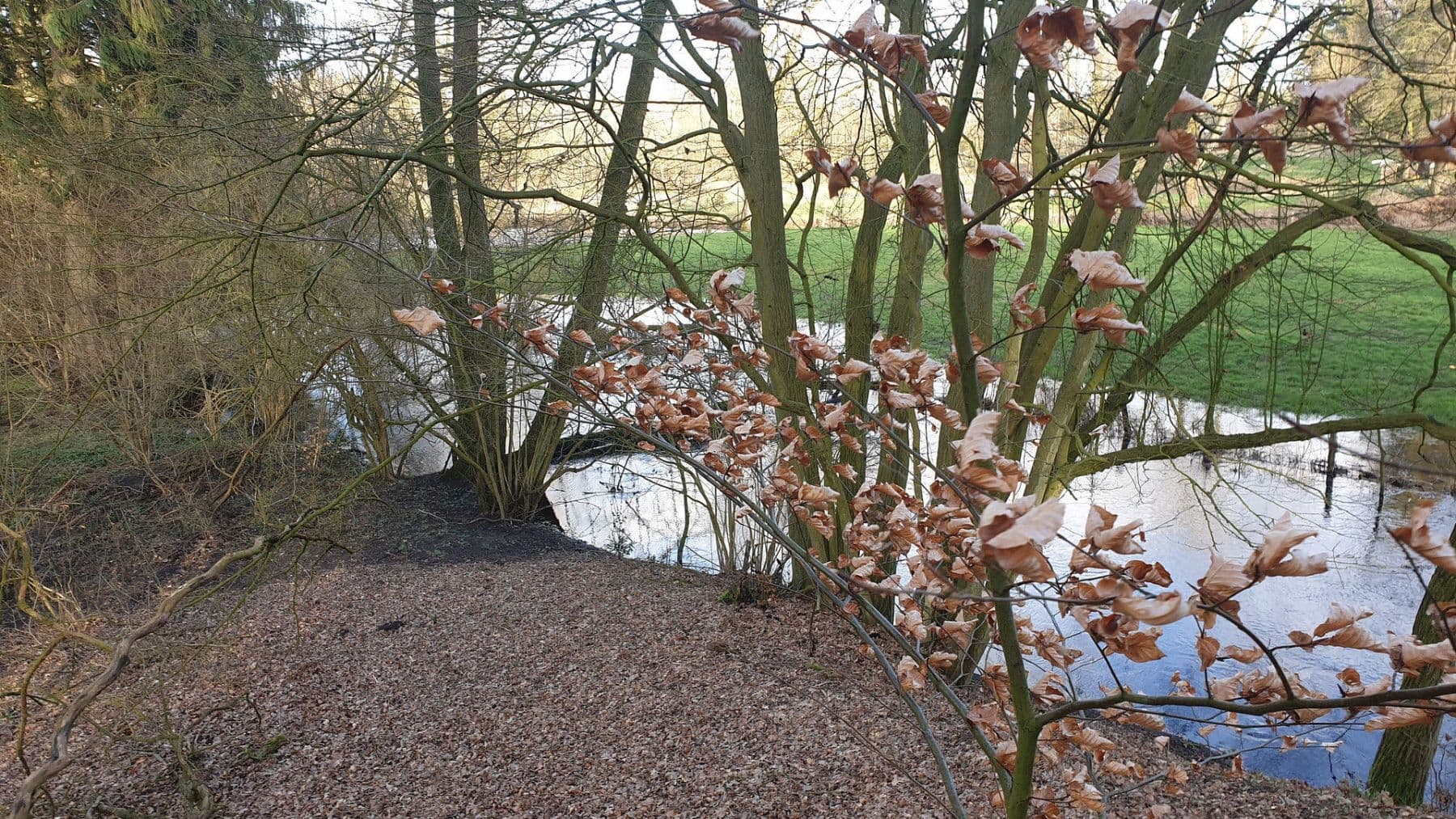 Prodej domu 120 m², pozemek 23.459 m², Tangstedt, Šlesvicko-Holštýnsko Prodej domu 120 m², pozemek 23.459 m², Tangstedt, Šlesvicko-Holštýnsko