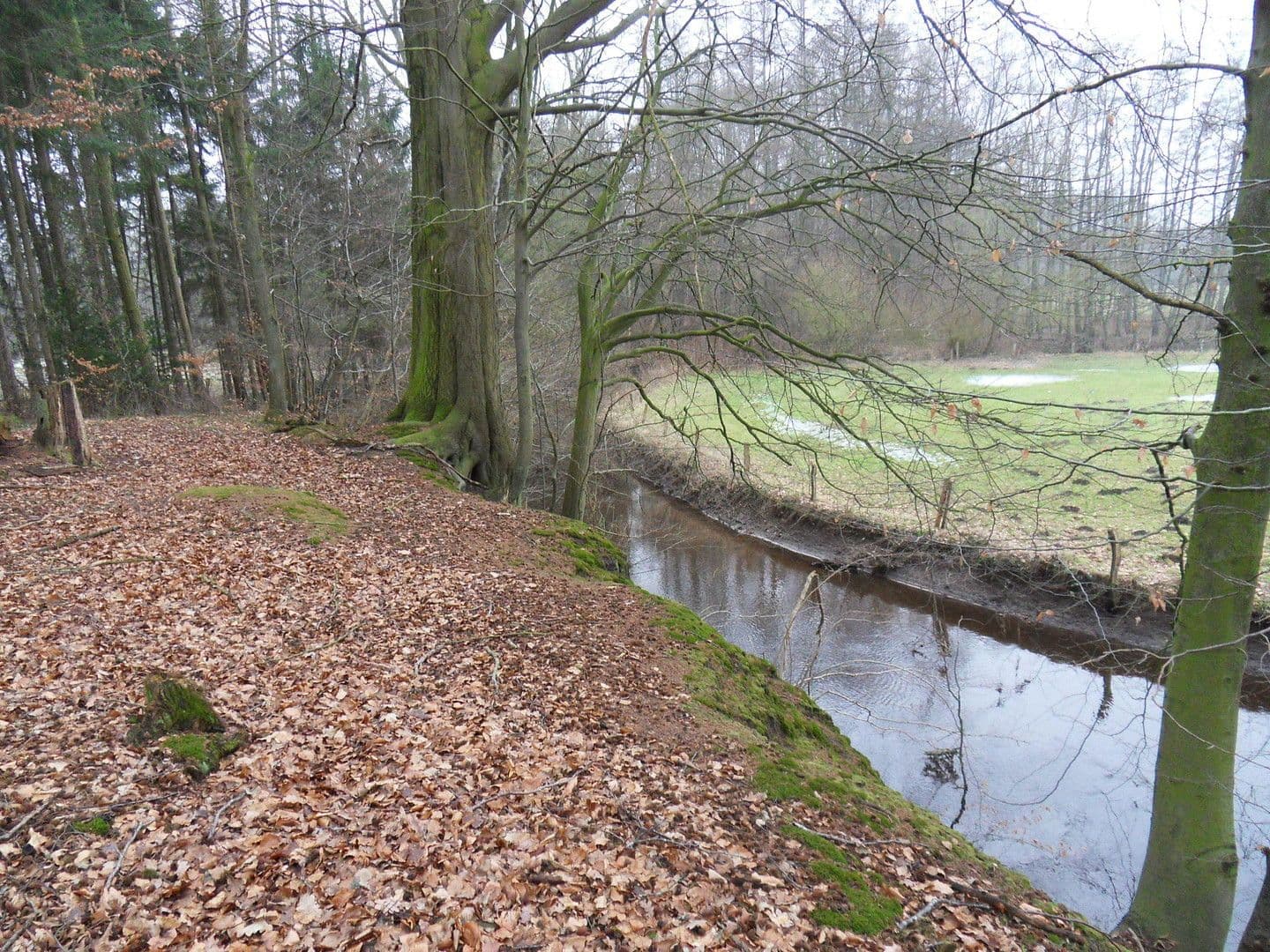 Prodej domu 120 m², pozemek 23.459 m², Tangstedt, Šlesvicko-Holštýnsko Prodej domu 120 m², pozemek 23.459 m², Tangstedt, Šlesvicko-Holštýnsko