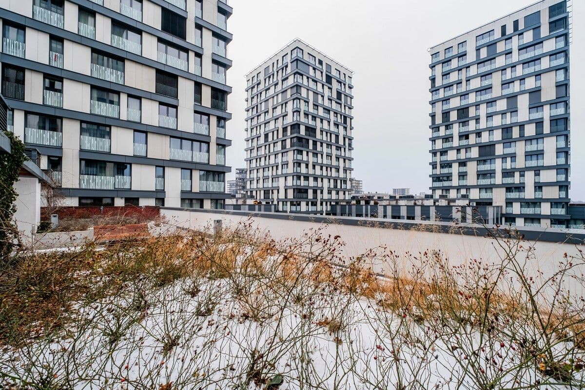 Pronájem bytu 35 m², Olšanská e, Praha, Praha Pronájem bytu 35 m², Olšanská e, Praha, Praha