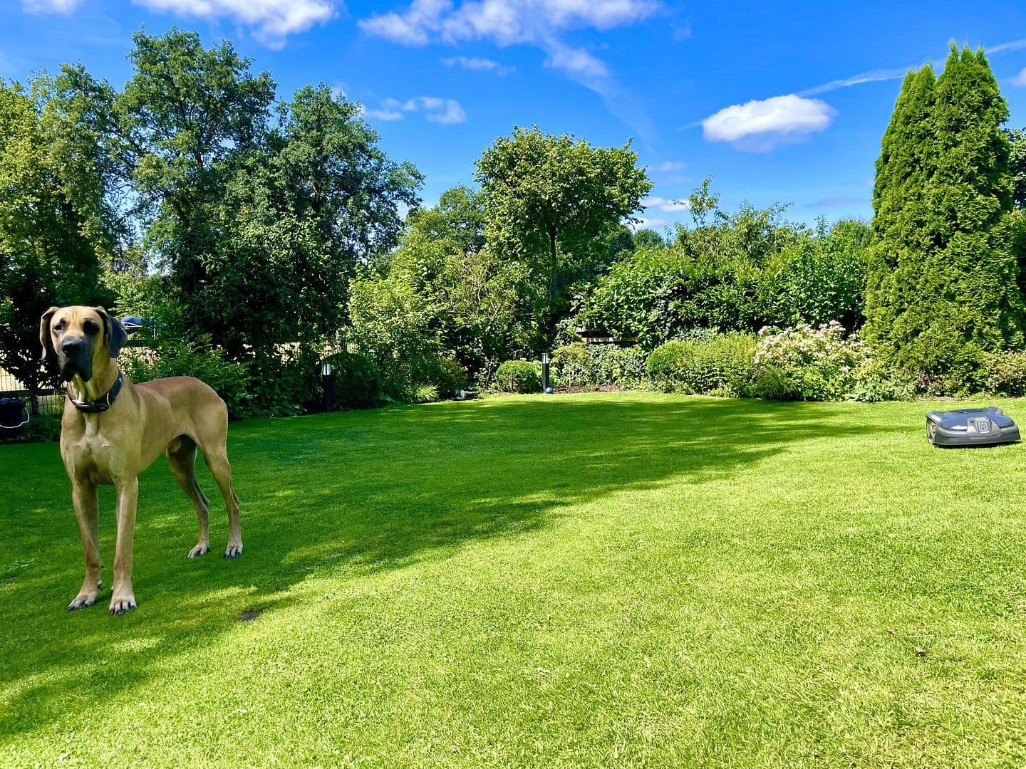 Prodej domu 174 m², pozemek 789 m², Lüninghauser Str. 111, Lilienthal, Dolní Sasko Prodej domu 174 m², pozemek 789 m², Lüninghauser Str. 111, Lilienthal, Dolní Sasko