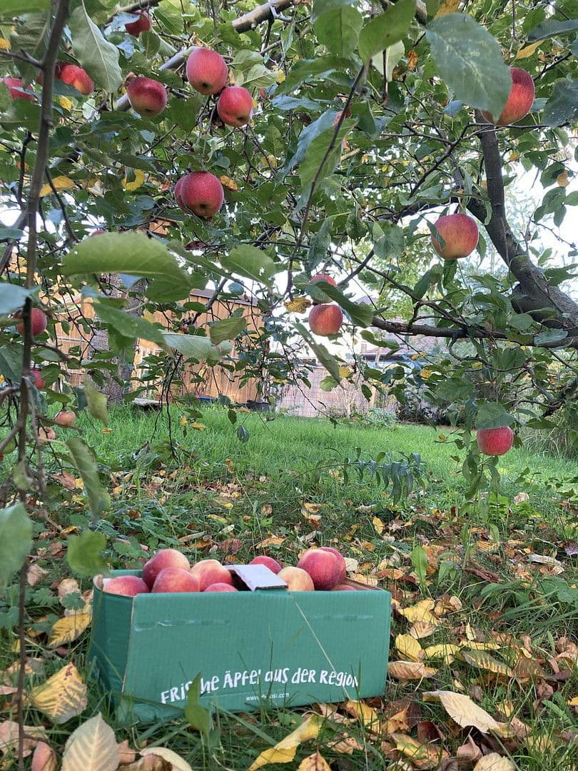 Prodej domu 136 m², pozemek 600 m², Nauen, Braniborsko Prodej domu 136 m², pozemek 600 m², Nauen, Braniborsko