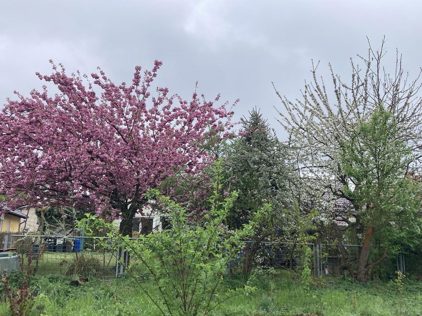 Prodej domu 136 m², pozemek 600 m², Nauen, Braniborsko Prodej domu 136 m², pozemek 600 m², Nauen, Braniborsko