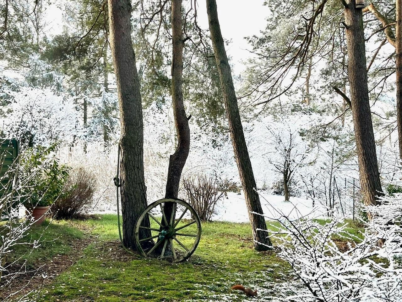 Prodej domu 115 m², pozemek 1.685 m², Meisenweg 16, Kirchseelte, Dolní Sasko Prodej domu 115 m², pozemek 1.685 m², Meisenweg 16, Kirchseelte, Dolní Sasko