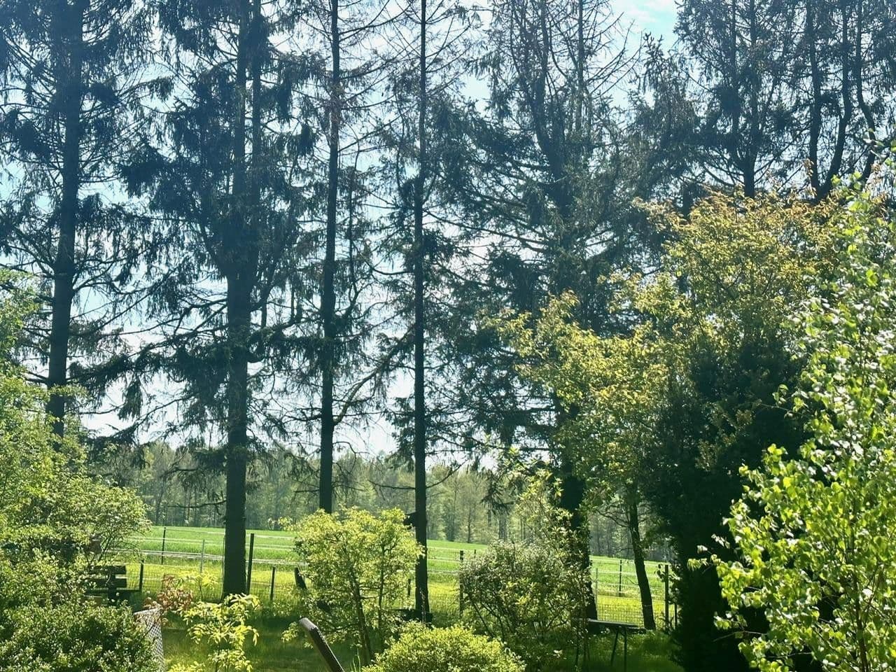 Prodej domu 115 m², pozemek 1.685 m², Meisenweg 16, Kirchseelte, Dolní Sasko Prodej domu 115 m², pozemek 1.685 m², Meisenweg 16, Kirchseelte, Dolní Sasko