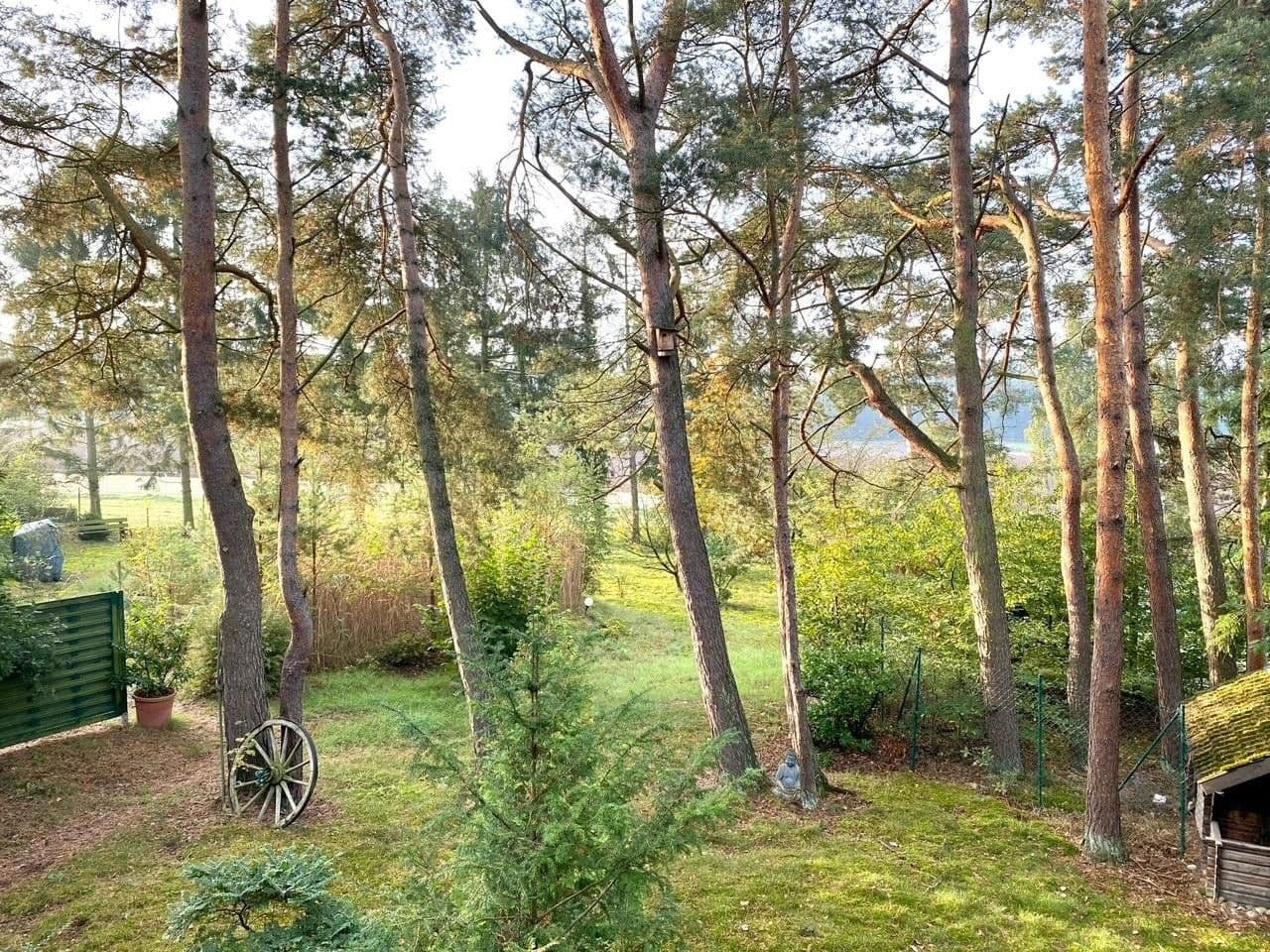 Prodej domu 115 m², pozemek 1.685 m², Meisenweg 16, Kirchseelte, Dolní Sasko Prodej domu 115 m², pozemek 1.685 m², Meisenweg 16, Kirchseelte, Dolní Sasko