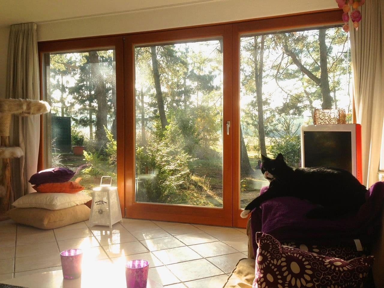 Prodej domu 115 m², pozemek 1.685 m², Meisenweg 16, Kirchseelte, Dolní Sasko Prodej domu 115 m², pozemek 1.685 m², Meisenweg 16, Kirchseelte, Dolní Sasko