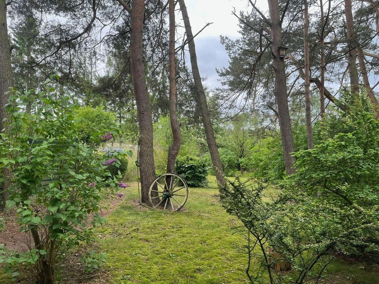 Prodej domu 115 m², pozemek 1.685 m², Meisenweg 16, Kirchseelte, Dolní Sasko Prodej domu 115 m², pozemek 1.685 m², Meisenweg 16, Kirchseelte, Dolní Sasko