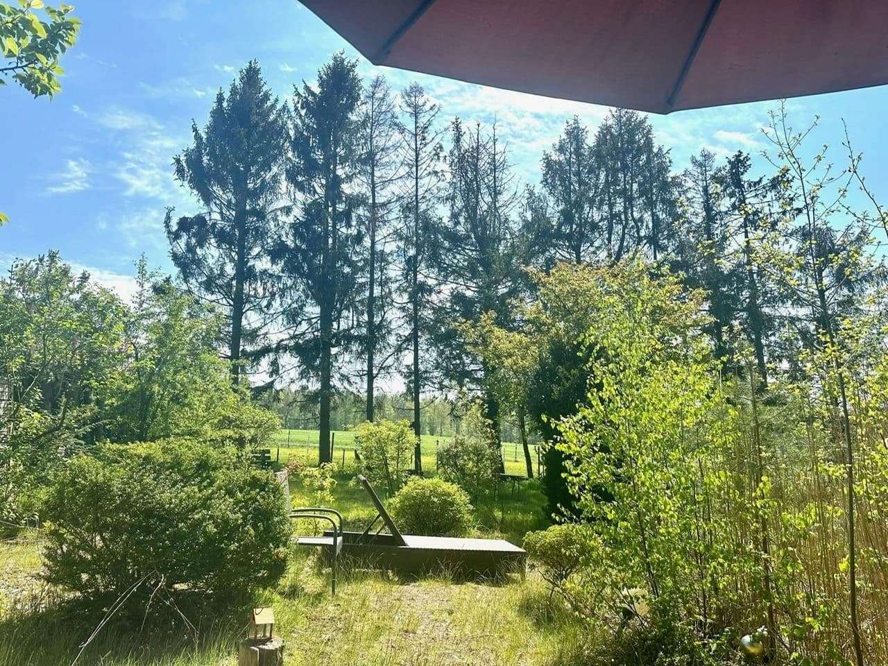 Prodej domu 115 m², pozemek 1.685 m², Meisenweg 16, Kirchseelte, Dolní Sasko Prodej domu 115 m², pozemek 1.685 m², Meisenweg 16, Kirchseelte, Dolní Sasko