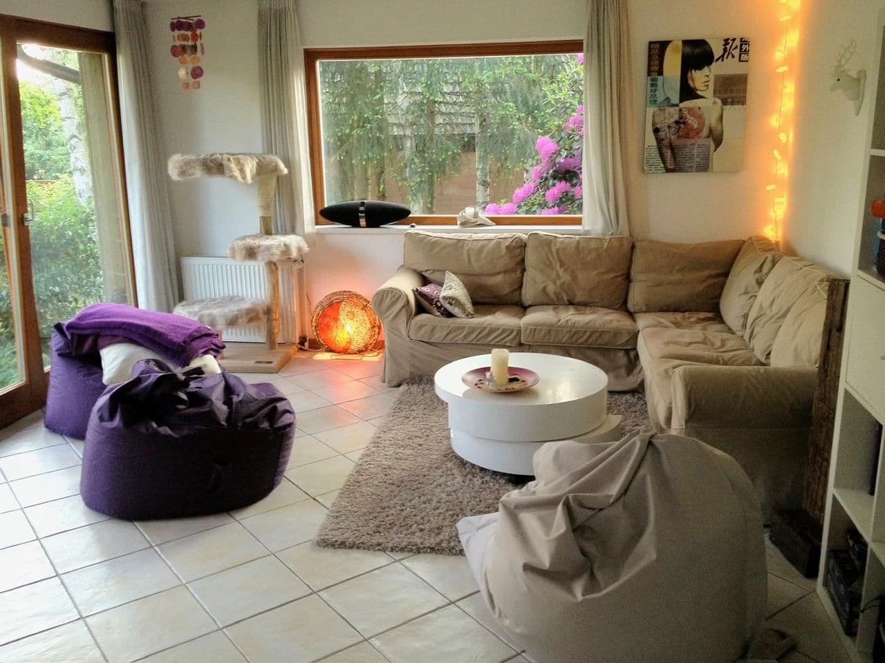 Prodej domu 115 m², pozemek 1.685 m², Meisenweg 16, Kirchseelte, Dolní Sasko Prodej domu 115 m², pozemek 1.685 m², Meisenweg 16, Kirchseelte, Dolní Sasko