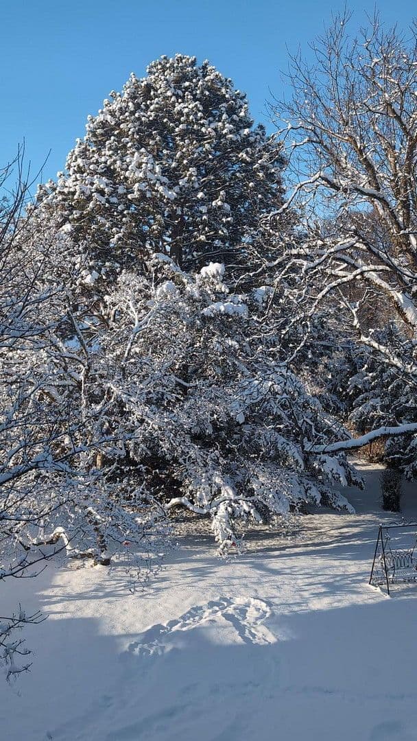 Pronájem bytu 3+1 97 m², Bad Reichenhall, Bavorsko Pronájem bytu 3+1 97 m², Bad Reichenhall, Bavorsko