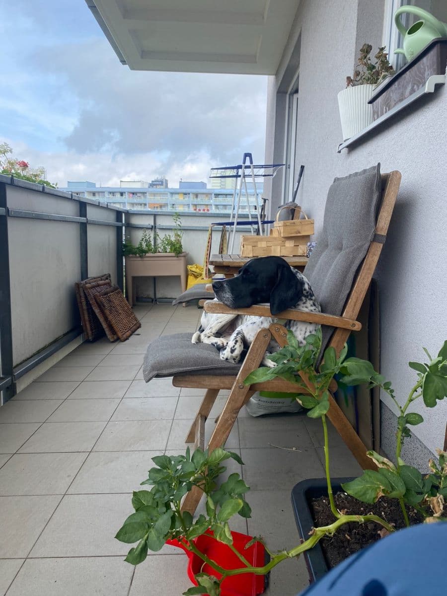 Pronájem bytu 3+kk 67 m², Jurkovičova, Praha, Praha Pronájem bytu 3+kk 67 m², Jurkovičova, Praha, Praha