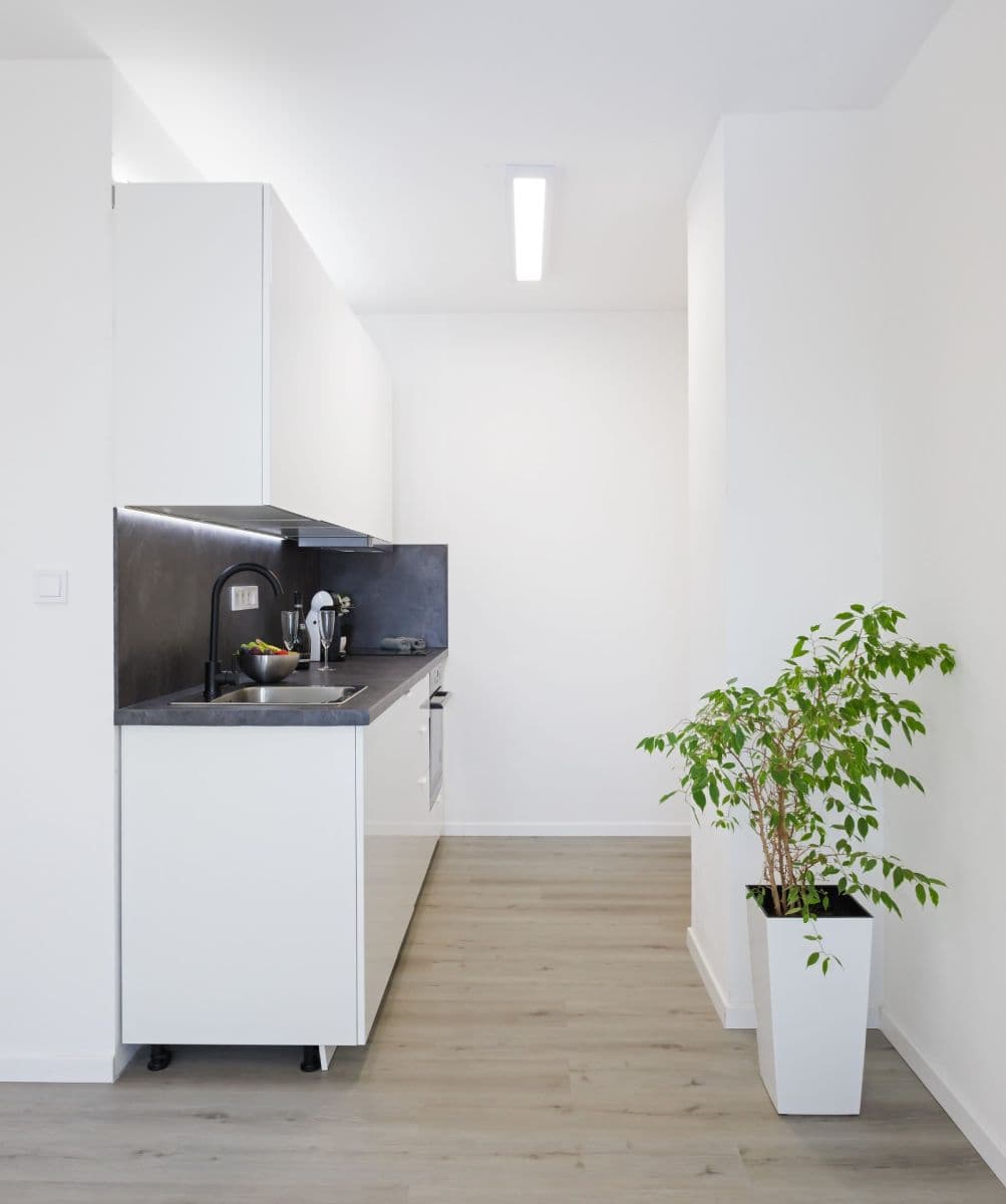 Pronájem bytu 2+kk 46 m², Markušova, Praha, Praha Pronájem bytu 2+kk 46 m², Markušova, Praha, Praha