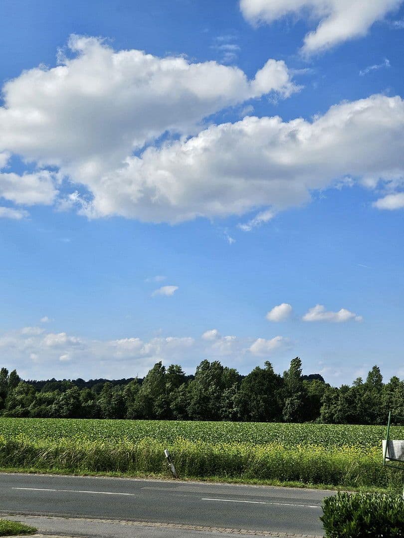 Pronájem bytu 3+1 58 m², Babenhauser Str. 43, Bielefeld, Severní Porýní-Vestfálsko Pronájem bytu 3+1 58 m², Babenhauser Str. 43, Bielefeld, Severní Porýní-Vestfálsko