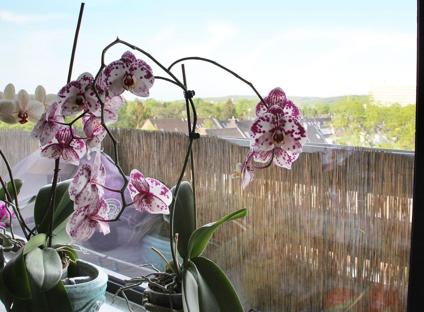 Prodej bytu 4+1 115 m², Goethestr. 56, Düsseldorf, Severní Porýní-Vestfálsko Prodej bytu 4+1 115 m², Goethestr. 56, Düsseldorf, Severní Porýní-Vestfálsko