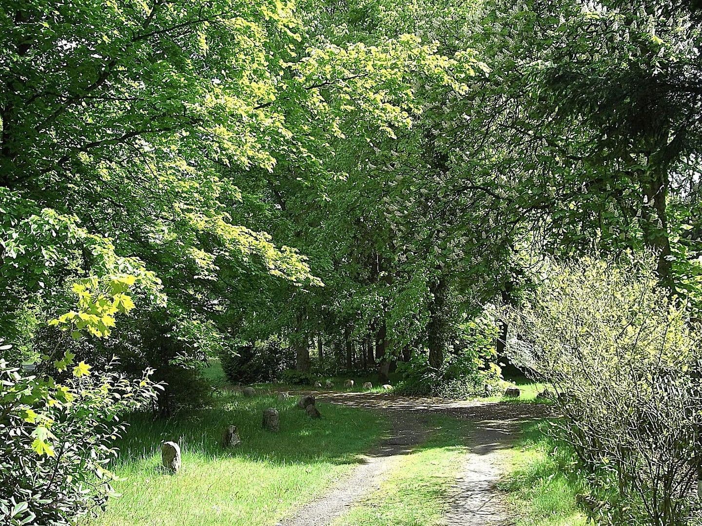 Pronájem bytu 2+kk 90 m², Schneverdingen, Dolní Sasko Pronájem bytu 2+kk 90 m², Schneverdingen, Dolní Sasko