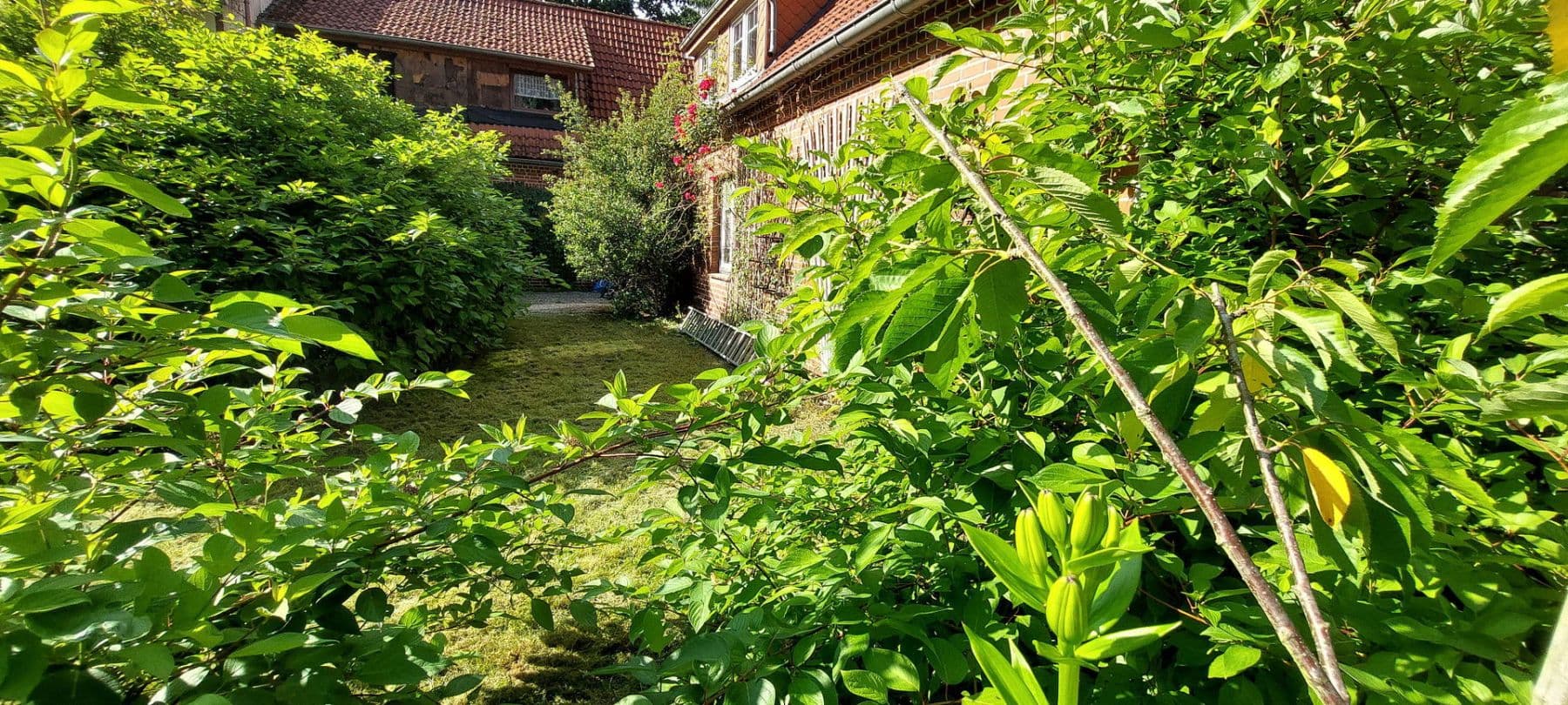 Pronájem bytu 2+kk 90 m², Schneverdingen, Dolní Sasko Pronájem bytu 2+kk 90 m², Schneverdingen, Dolní Sasko