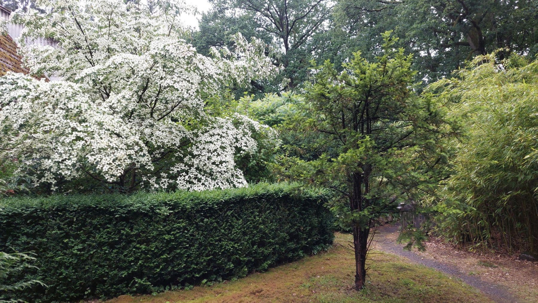 Pronájem bytu 2+kk 90 m², Schneverdingen, Dolní Sasko Pronájem bytu 2+kk 90 m², Schneverdingen, Dolní Sasko