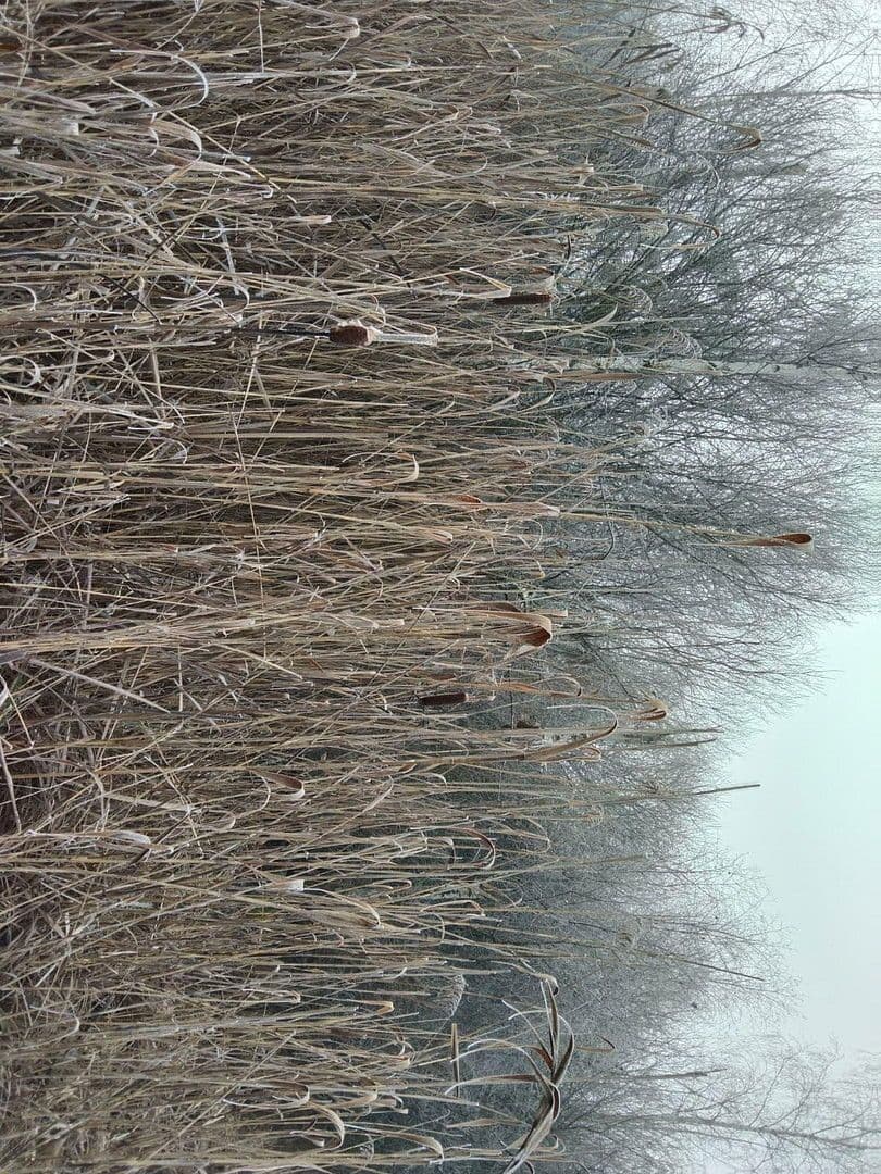 Prodej pozemku 21.462 m², Details bei Anfrage, Vitis, Dolní Rakousko Prodej pozemku 21.462 m², Details bei Anfrage, Vitis, Dolní Rakousko