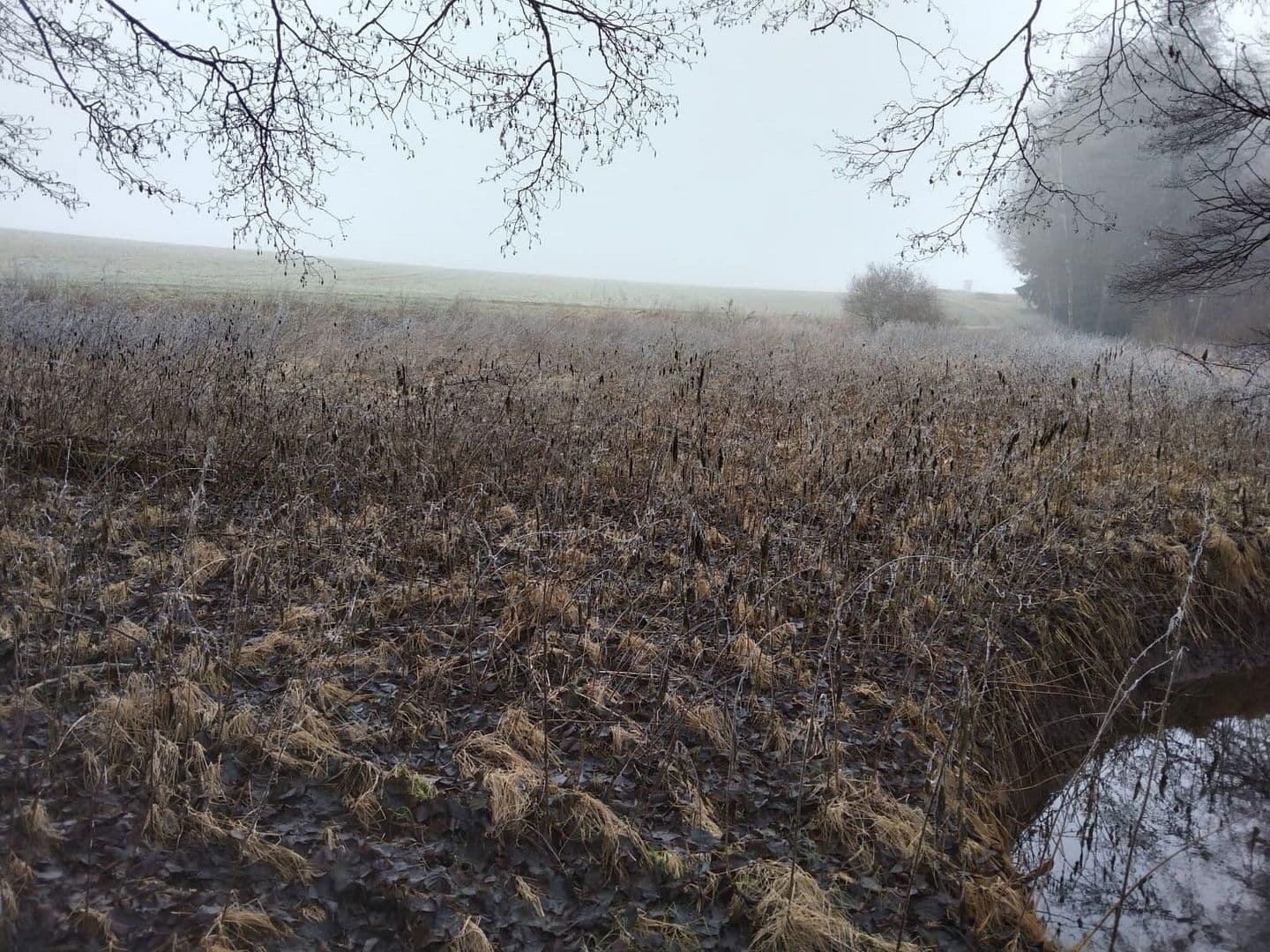 Prodej pozemku 21.462 m², Details bei Anfrage, Vitis, Dolní Rakousko Prodej pozemku 21.462 m², Details bei Anfrage, Vitis, Dolní Rakousko