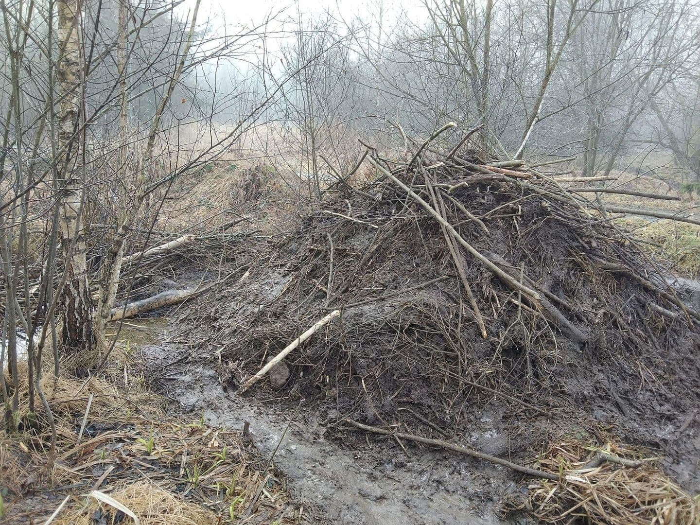 Prodej pozemku 21.462 m², Details bei Anfrage, Vitis, Dolní Rakousko Prodej pozemku 21.462 m², Details bei Anfrage, Vitis, Dolní Rakousko