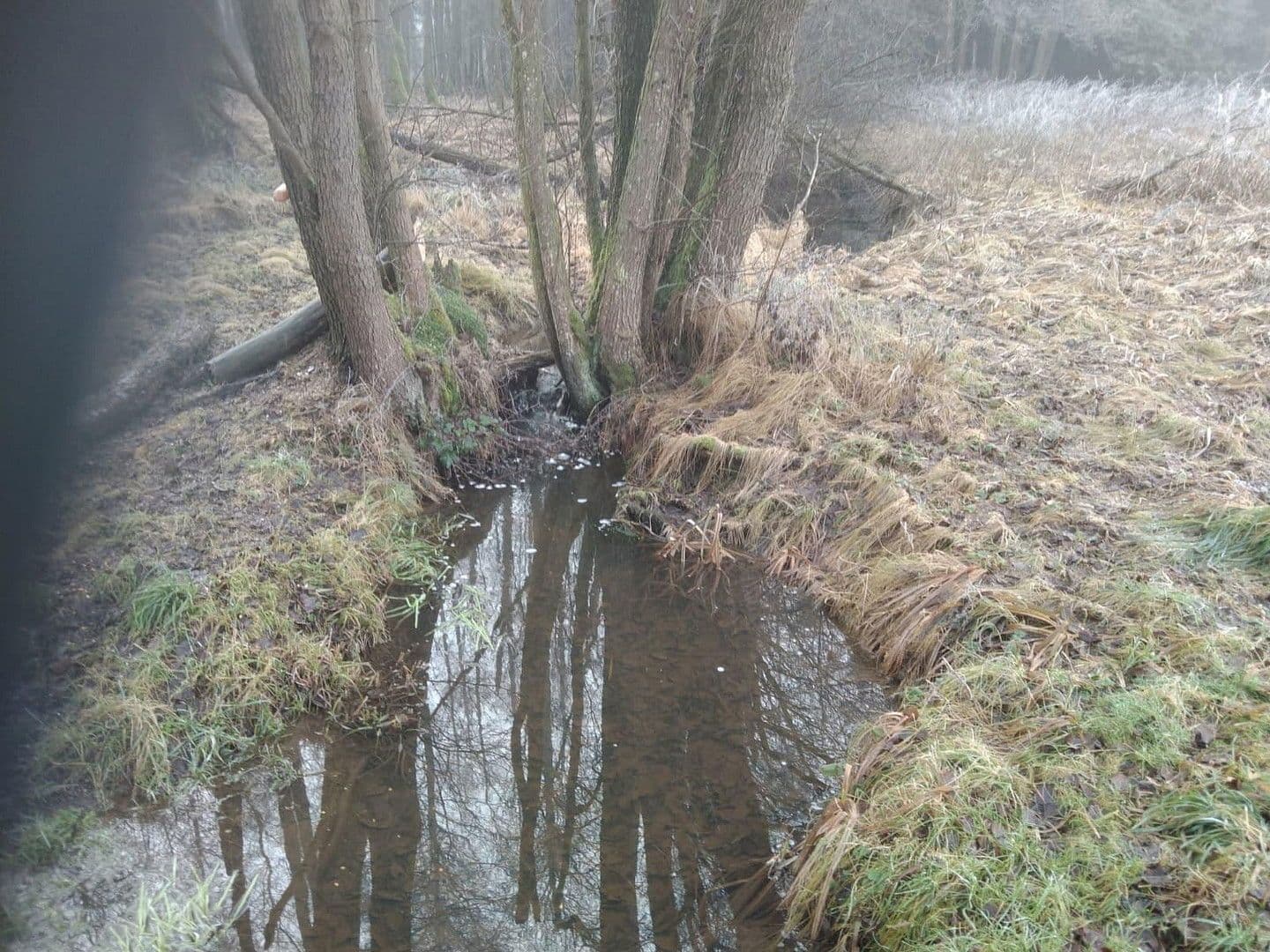 Prodej pozemku 21.462 m², Details bei Anfrage, Vitis, Dolní Rakousko Prodej pozemku 21.462 m², Details bei Anfrage, Vitis, Dolní Rakousko