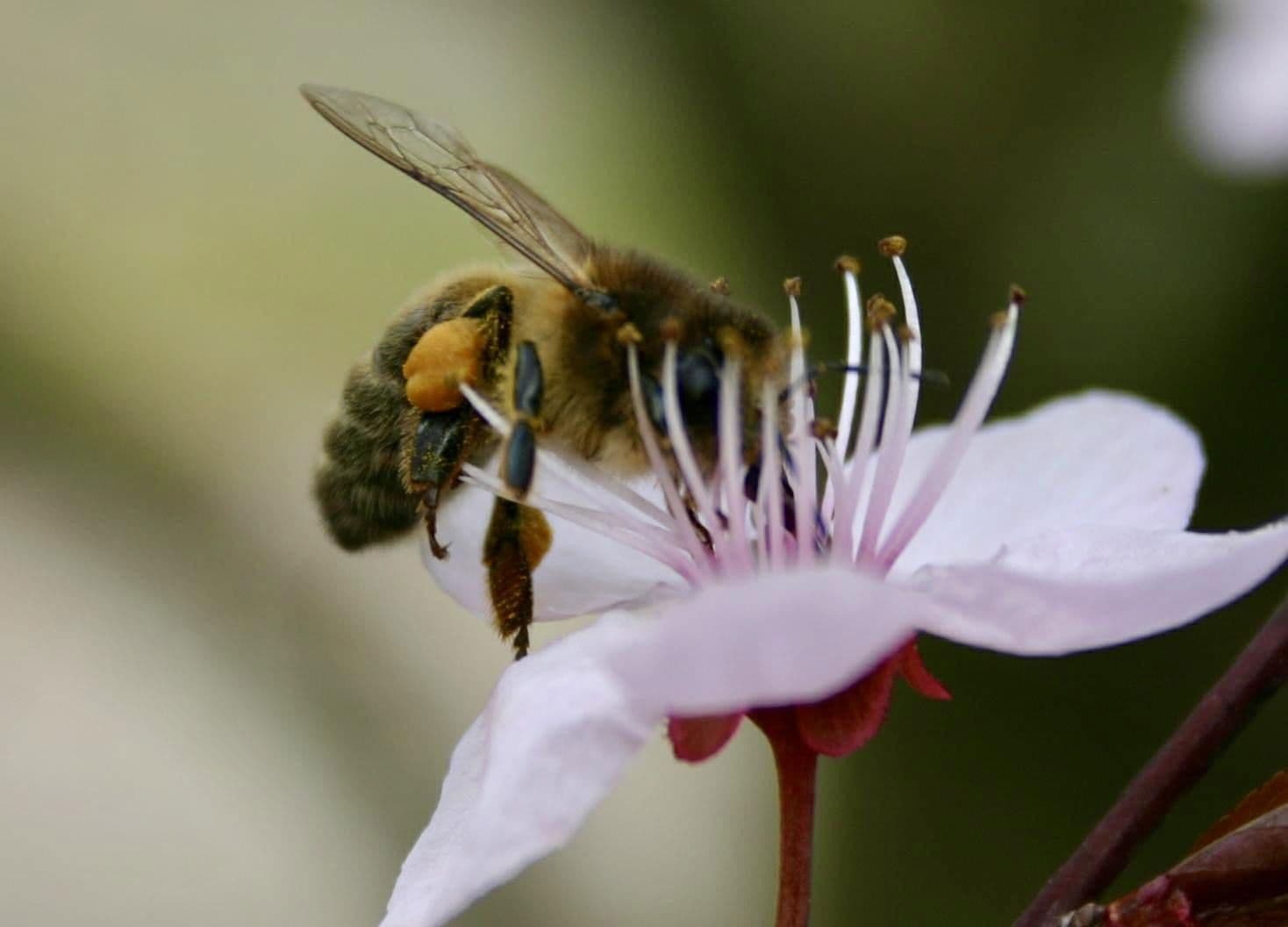 Prodej bytu 2+kk 68 m², Reichenbachstraße 5, Bad Reichenhall, Bavorsko Prodej bytu 2+kk 68 m², Reichenbachstraße 5, Bad Reichenhall, Bavorsko