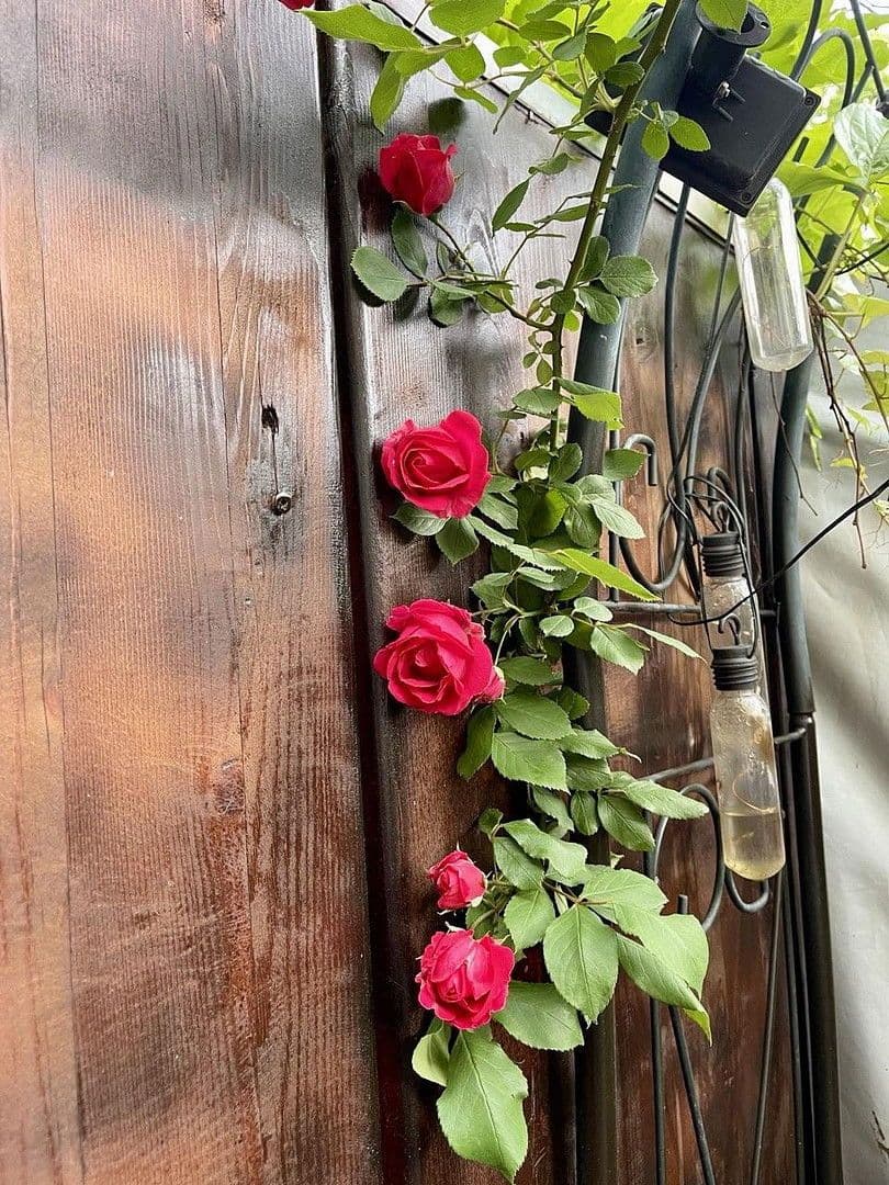 Prodej bytu 2+kk 68 m², Reichenbachstraße 5, Bad Reichenhall, Bavorsko Prodej bytu 2+kk 68 m², Reichenbachstraße 5, Bad Reichenhall, Bavorsko