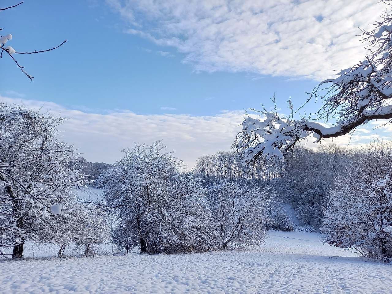 Pronájem chaty, chalupy, Markvartice, Královéhradecký kraj Pronájem chaty, chalupy, Markvartice, Královéhradecký kraj