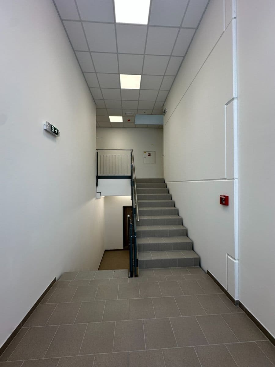 Pronájem nebytového prostoru 2.400 m², K Pérovně, Praha, Praha Pronájem nebytového prostoru 2.400 m², K Pérovně, Praha, Praha