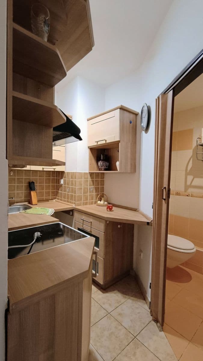 Prodej bytu 1+1 35 m², Rýchorské sídliště, Svoboda nad Úpou, Královéhradecký kraj Prodej bytu 1+1 35 m², Rýchorské sídliště, Svoboda nad Úpou, Královéhradecký kraj