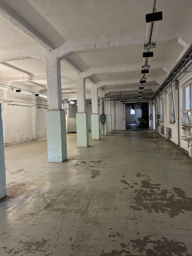 Prodej nebytového prostoru 9.700 m², Großrückerswalde, Sasko Prodej nebytového prostoru 9.700 m², Großrückerswalde, Sasko