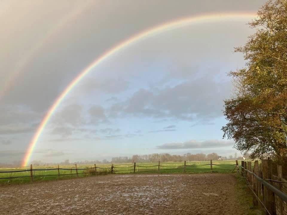 Prodej domu 380 m², pozemek 350.000 m², Domäne Hünkemann 1, Wurster Nordseeküste, Dolní Sasko Prodej domu 380 m², pozemek 350.000 m², Domäne Hünkemann 1, Wurster Nordseeküste, Dolní Sasko